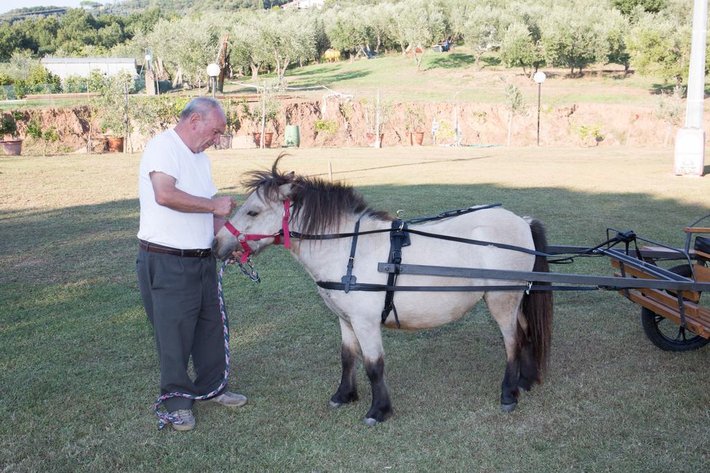 Agriturismo Poggetto Larciano Luaran gambar