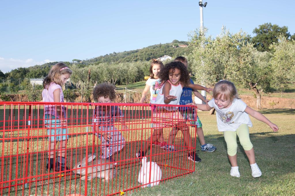Agriturismo Poggetto Larciano Luaran gambar